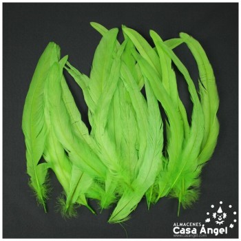 PLUMAS VERDE PISTACHO DE COLA DE GALLO 30-35cm BOLSA DE 25uds