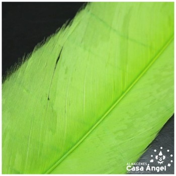 PLUMAS VERDE PISTACHO DE COLA DE GALLO 30-35cm BOLSA DE 25uds