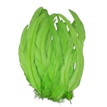 PLUMAS VERDE PISTACHO DE COLA DE GALLO 30-35cm BOLSA DE 25uds