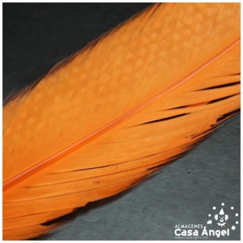 PLUMAS NARANJAS DE COLA DE GALLO 30-35cm BOLSA DE 25uds
