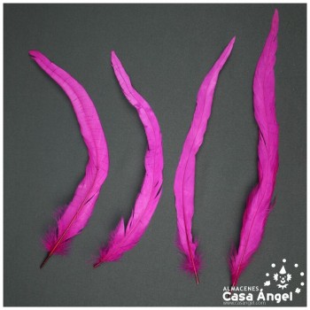 PLUMAS FUCSIA DE COLA DE GALLO 30-35cm BOLSA DE 25uds