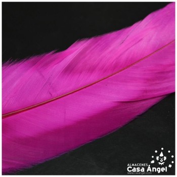 PLUMAS FUCSIA DE COLA DE GALLO 30-35cm BOLSA DE 25uds