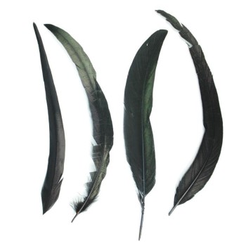 PLUMAS NEGRAS DE COLA DE GALLO 30-35cm BOLSA DE 25uds