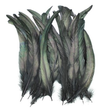 PLUMAS NEGRAS DE COLA DE GALLO 30-35cm BOLSA DE 25uds