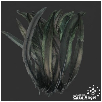 PLUMAS NEGRAS DE COLA DE GALLO 30-35cm BOLSA DE 25uds