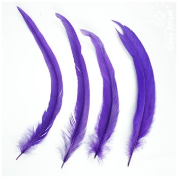 PLUMAS MORADAS DE COLA DE GALLO 30-35cm BOLSA DE 25uds