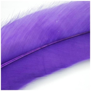 PLUMAS MORADAS DE COLA DE GALLO 30-35cm BOLSA DE 25uds
