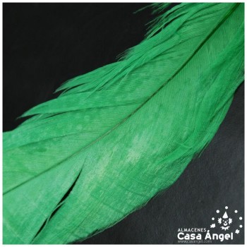 PLUMAS VERDES DE COLA DE GALLO 30-35cm BOLSA DE 25uds