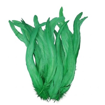 PLUMAS VERDES DE COLA DE GALLO 30-35cm BOLSA DE 25uds