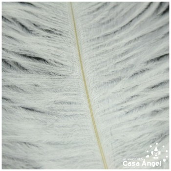PLUMAS NATURALES DE AVESTRUZ BLANCO 25cm BOLSA 2uds