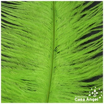 PLUMAS NATURALES DE AVESTRUZ VERDE PISTACHO 25cm BOLSA 2uds