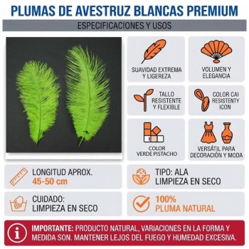 PLUMAS NATURALES DE AVESTRUZ VERDE PISTACHO 25cm BOLSA 2uds