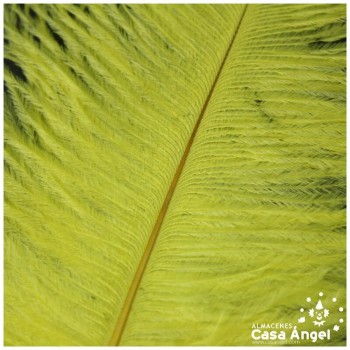 PLUMAS NATURALES DE AVESTRUZ AMARILLO 25cm BOLSA 2uds