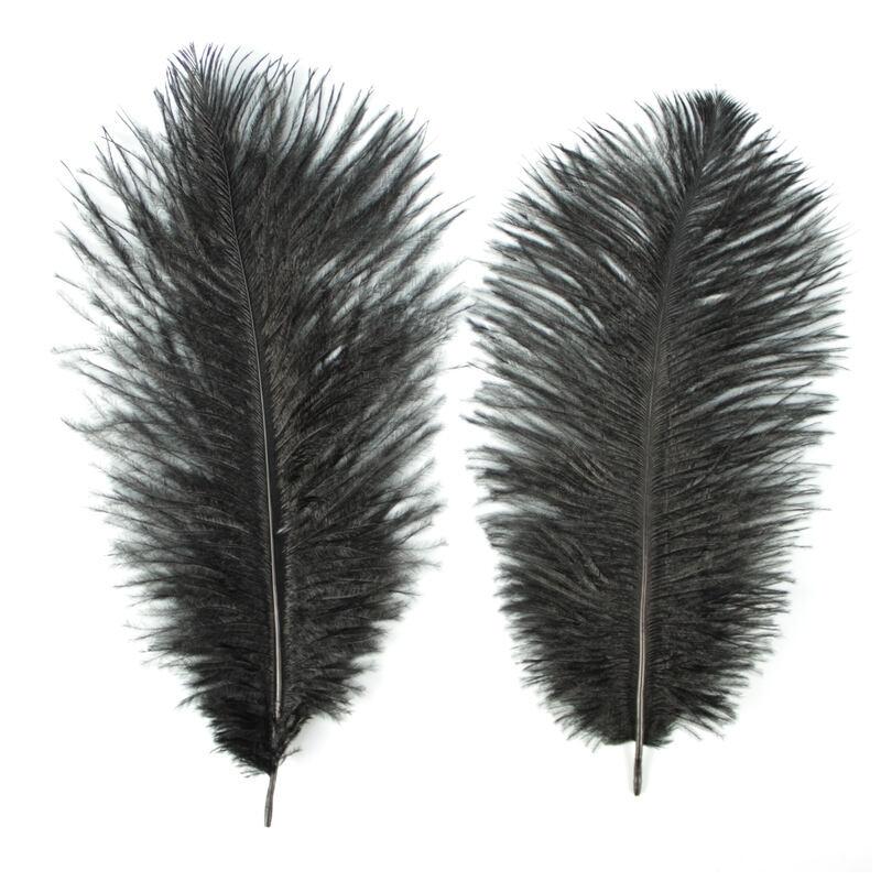 PLUMAS NATURALES DE AVESTRUZ NEGRAS 25cm BOLSA 2uds