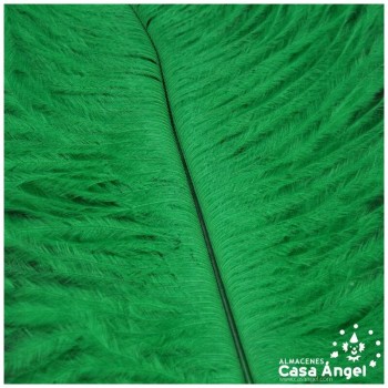 PLUMAS NATURALES DE AVESTRUZ VERDE 25cm BOLSA 2uds