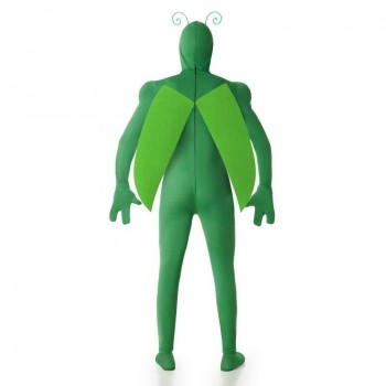 DISFRAZ DE SALTAMONTES VERDE PARA HOMBRE