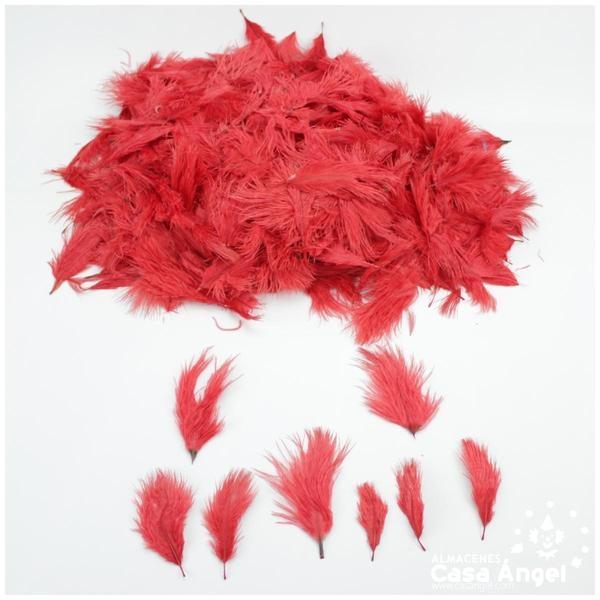 PLUMAS ROJAS DE AVESTRUZ BOLSA