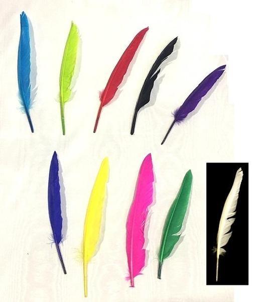 PLUMAS TINTADAS DE ALA DE PATO BOLSA DE 10 UNIDADES