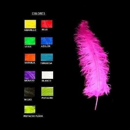 PLUMAS DE AVESTRUZ ESPADONA COLORES 60cm
