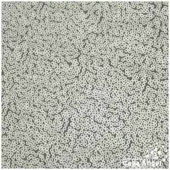 TELA DE LENTEJUELAS BLANCAS BORDADAS SOBRE TUL 150cm