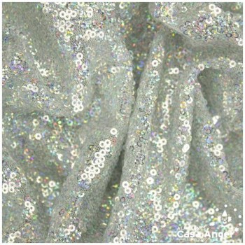TELA DE LENTEJUELAS PLATA HOLOGRAMA BORDADAS SOBRE TUL 150cm